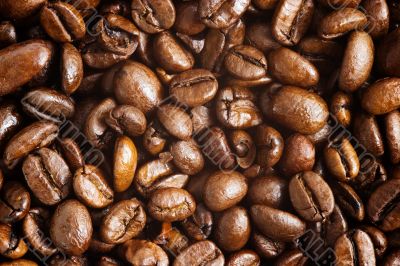 coffee beans