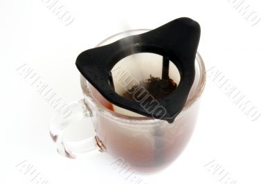 filling the cup