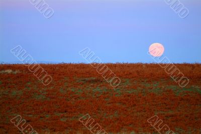 moon rising