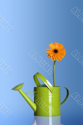 Watering can with a flower