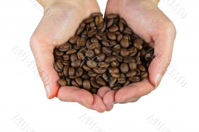 Hands with coffee beans