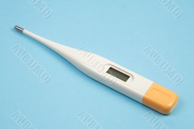 Electronic thermomether
