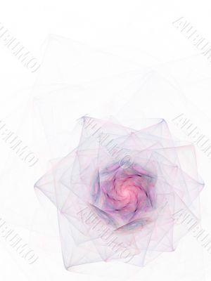 Spiral Petals against White
