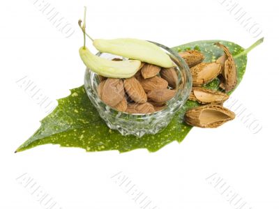 Almond nuts