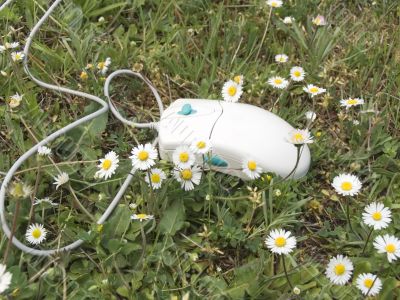 The computer mouse