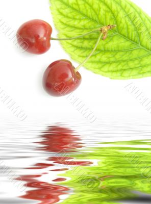 sweet cherry