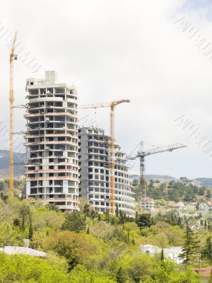 Three cranes