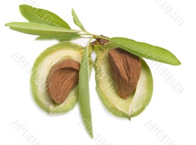 almonds