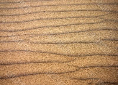 Sand waves