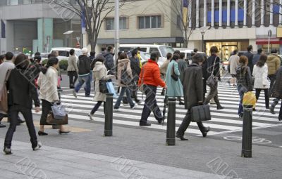 The crowd