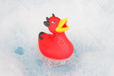 devil duck