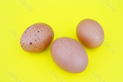 easter eggs