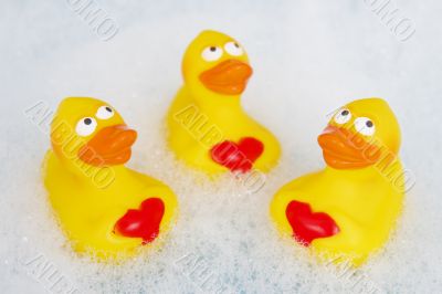 three rubber duckies