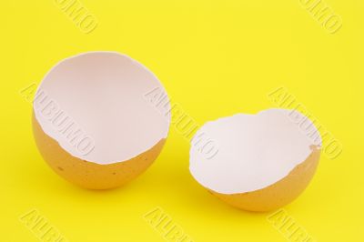 empty egg shell