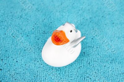 angel duck on towel