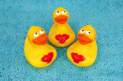 rubber duck family