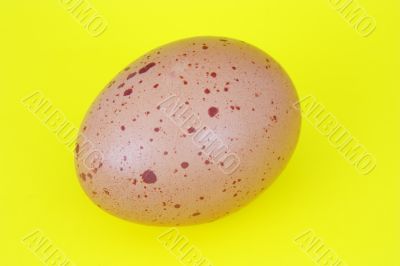 brown specked egg