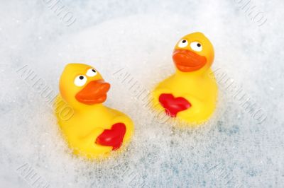 rubber duckies