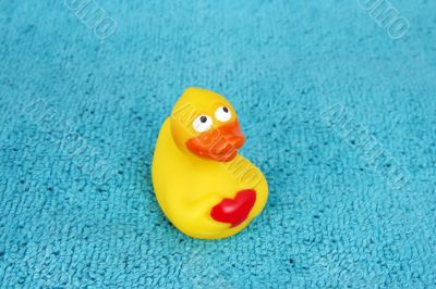 duck on towel