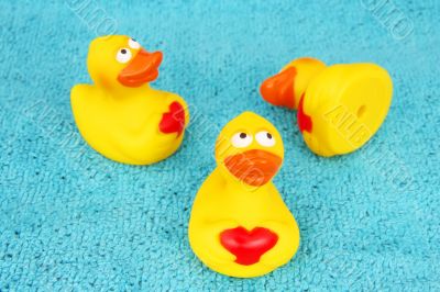 ducks on towel
