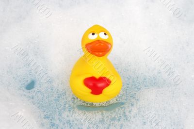single rubber duck