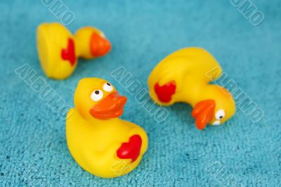 three ducks