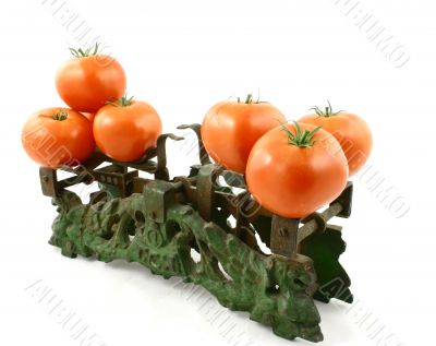 tomatoes on weight