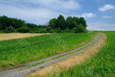 field cart