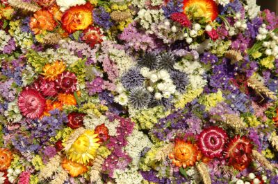 dried flowers