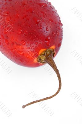 fresh tamarillo