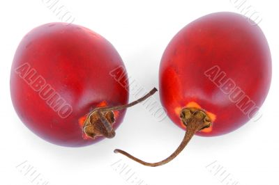 tamarillos isolated