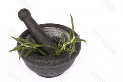 isolated mortar with rosemary