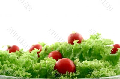Radish in lettuce