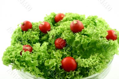 Red dots in green