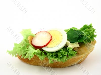 Close up at sandwich