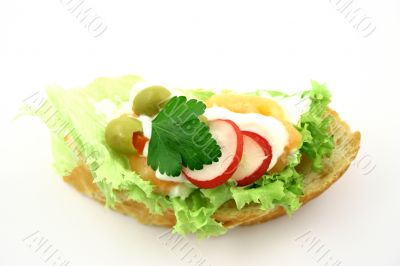 Salmon`s sandwich