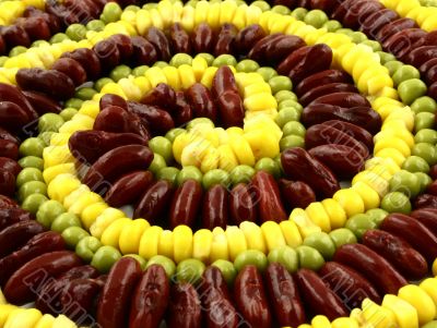 vegetarian composition