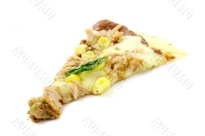 Piece of tasty pizza