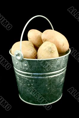 Potato`s bucket