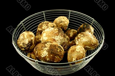 Just baked