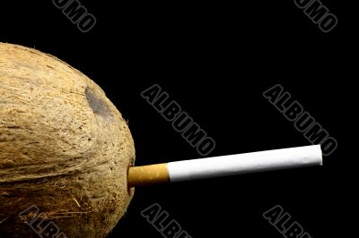 Coconut with cig