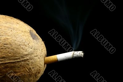 coconut smoker