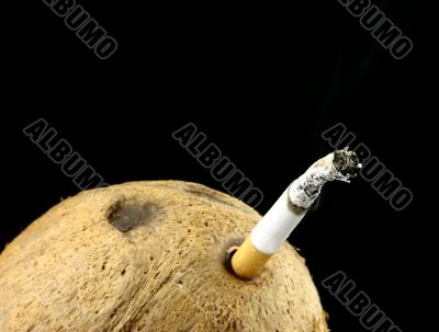 addicted to death