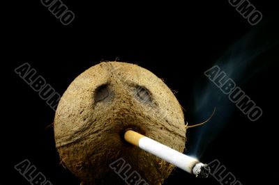 Cigarette in coconut