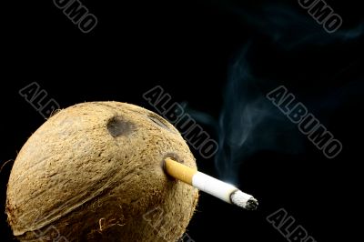 Coconut old smoker