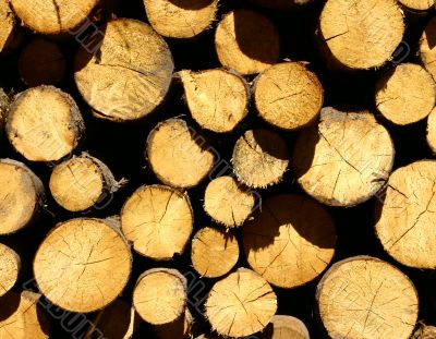 Lumber