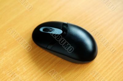 Wireless mouse
