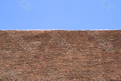 Bicolor background