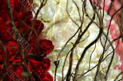 Roses and branches