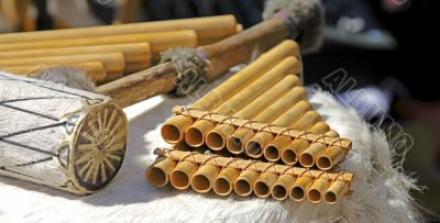 The Andean instruments